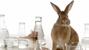 animal-testing-cosmetics-no